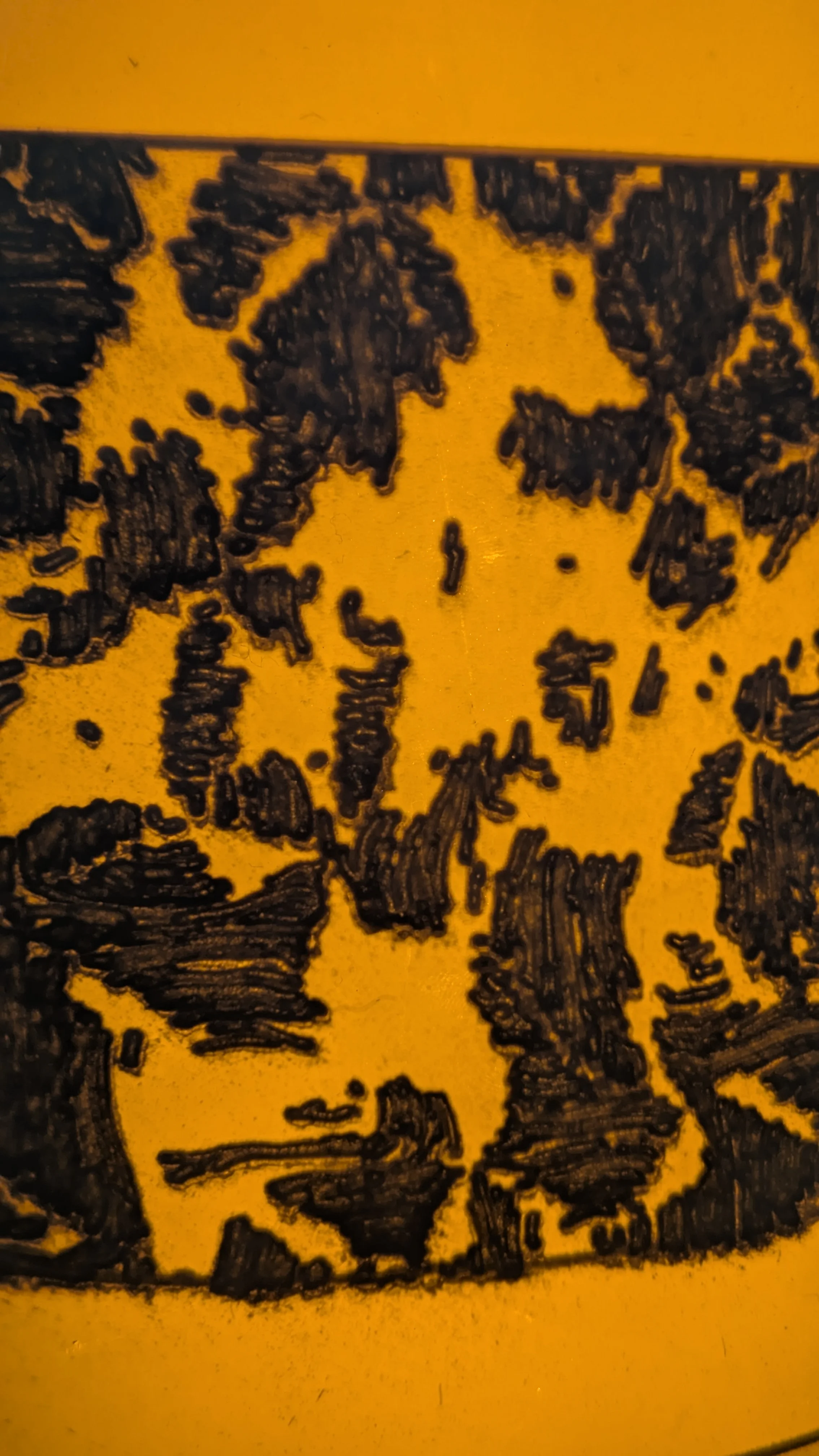 Skiagraph — image 10 of 40